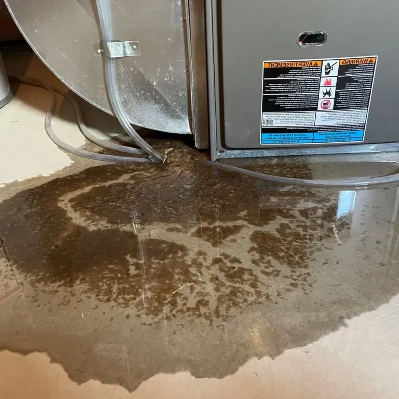 Pipe Burst and Leak Restoration in Taylorsville, KY