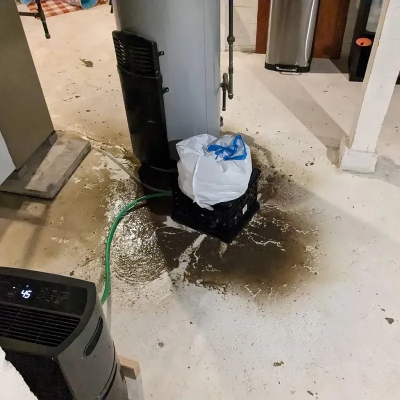 Sewage Backup Cleanup Service in Taylorsville, KY